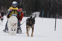 Lenzerheide 2013